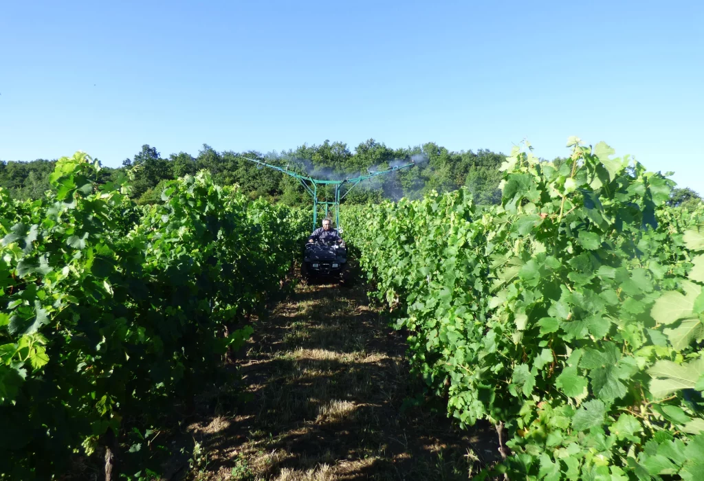 biodynamie 501 29 juillet 2019 (10)